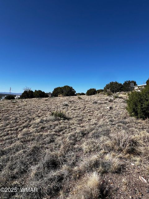 Tiny photo for 58 Short Lane, Concho, AZ 85924 (MLS # 258647)