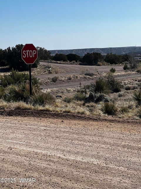 Tiny photo for 58 Short Lane, Concho, AZ 85924 (MLS # 258647)