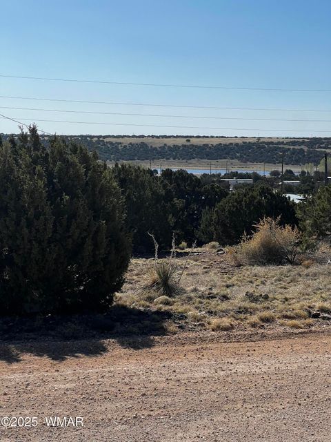 Tiny photo for 58 Short Lane, Concho, AZ 85924 (MLS # 258647)