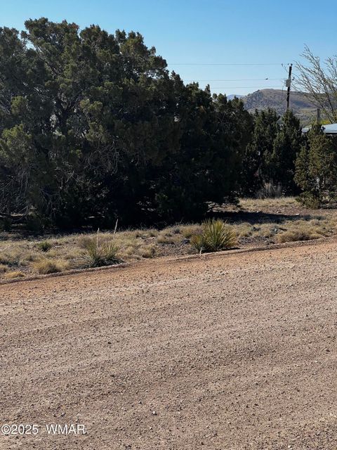 Tiny photo for 58 Short Lane, Concho, AZ 85924 (MLS # 258647)