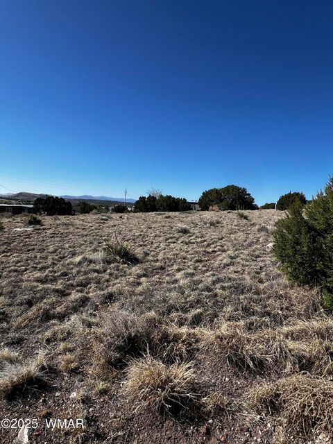 Photo of 58 Short Lane, Concho, AZ 85924 (MLS # 258647)