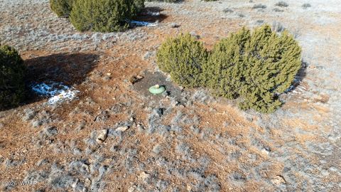 Tiny photo for 8524 Airport Drive, Show Low, AZ 85901 (MLS # 259146)