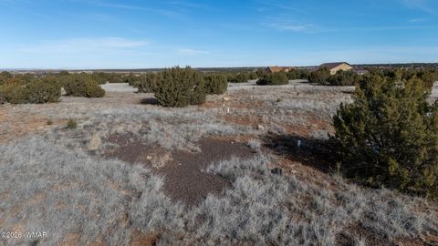 Tiny photo for 8524 Airport Drive, Show Low, AZ 85901 (MLS # 259146)
