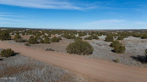 Photo of 8524 Airport Drive, Show Low, AZ 85901 (MLS # 259146)