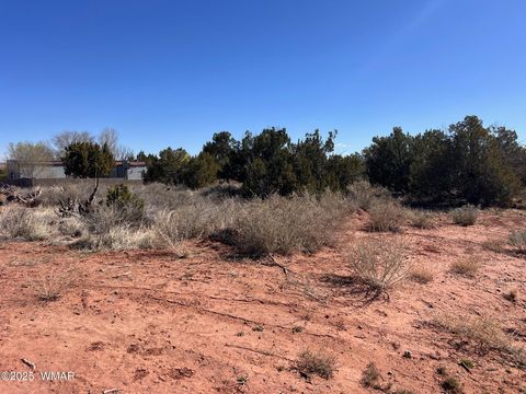 Tiny photo for Lot 7 S Country Clb Drive, Snowflake, AZ 85937 (MLS # 256274)
