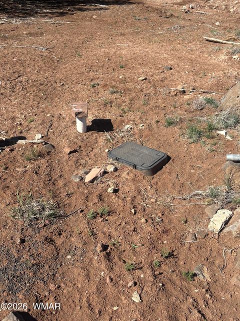 Tiny photo for 1942 Daggs Circle, Show Low, AZ 85901 (MLS # 260633)