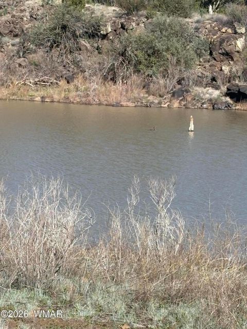 Tiny photo for 1942 Daggs Circle, Show Low, AZ 85901 (MLS # 260633)