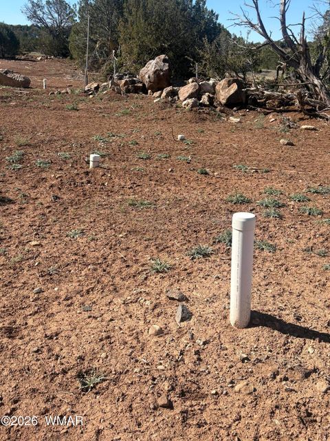 Tiny photo for 1942 Daggs Circle, Show Low, AZ 85901 (MLS # 260633)