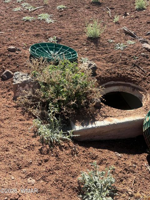 Tiny photo for 1942 Daggs Circle, Show Low, AZ 85901 (MLS # 260633)