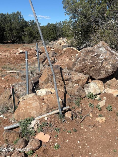 Tiny photo for 1942 Daggs Circle, Show Low, AZ 85901 (MLS # 260633)