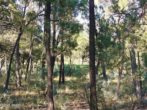 Tiny photo for 1651 S Falling Leaf Road, Show Low, AZ 85901 (MLS # 258713)