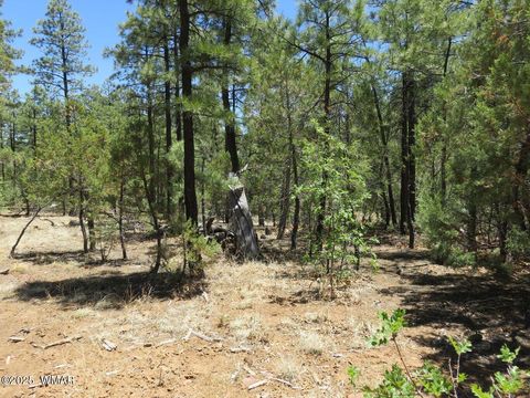 Tiny photo for 1651 S Falling Leaf Road, Show Low, AZ 85901 (MLS # 258713)