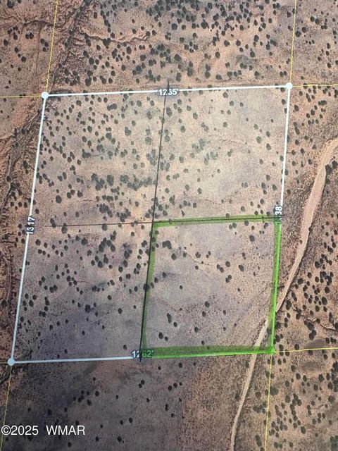 Photo of 236 N9233 SE, Concho, AZ 85924 (MLS # 258592)