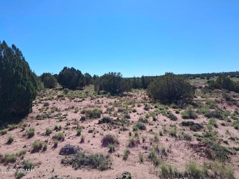 Tiny photo for 236 N9233 SE, Concho, AZ 85924 (MLS # 258592)
