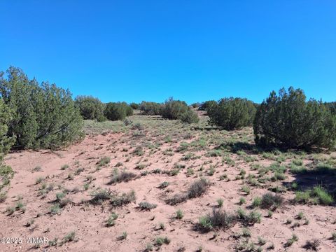 Tiny photo for 236 N9233 SE, Concho, AZ 85924 (MLS # 258592)