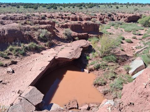 Tiny photo for 236 N9233 SE, Concho, AZ 85924 (MLS # 258592)