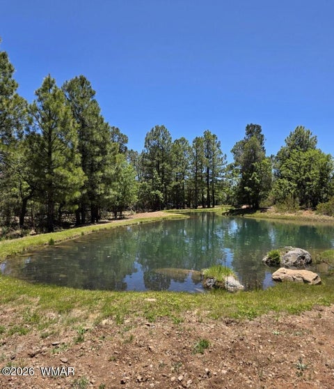 Tiny photo for 731 S Barberry Lane, Show Low, AZ 85901 (MLS # 261538)