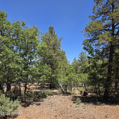 Tiny photo for 731 S Barberry Lane, Show Low, AZ 85901 (MLS # 261538)