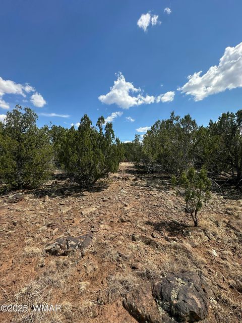 Tiny photo for 1776 Schad Place, Show Low, AZ 85901 (MLS # 257668)