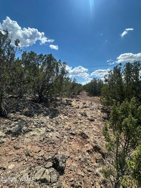 Tiny photo for 1776 Schad Place, Show Low, AZ 85901 (MLS # 257668)