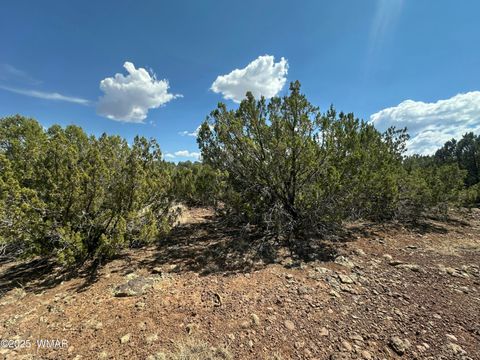 Tiny photo for 1776 Schad Place, Show Low, AZ 85901 (MLS # 257668)