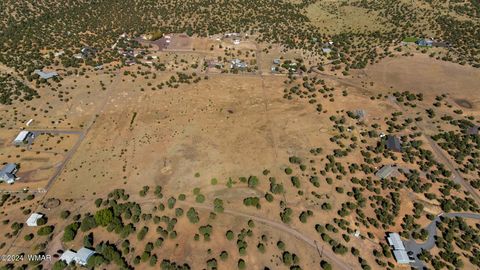 Tiny photo for TBD Old Homestead Road, Show Low, AZ 85901 (MLS # 253550)