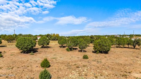 Tiny photo for TBD Old Homestead Road, Show Low, AZ 85901 (MLS # 253550)