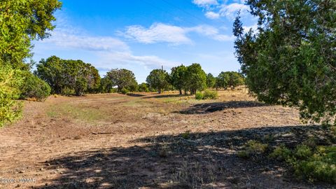 Tiny photo for TBD Old Homestead Road, Show Low, AZ 85901 (MLS # 253550)