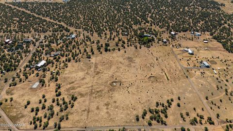 Tiny photo for TBD Old Homestead Road, Show Low, AZ 85901 (MLS # 253550)