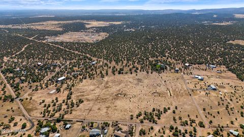 Tiny photo for TBD Old Homestead Road, Show Low, AZ 85901 (MLS # 253550)