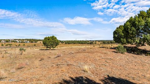 Tiny photo for TBD Old Homestead Road, Show Low, AZ 85901 (MLS # 253550)