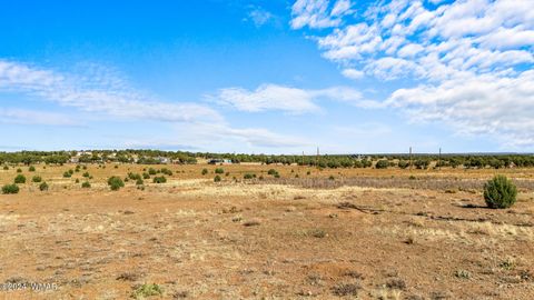 Tiny photo for TBD Old Homestead Road, Show Low, AZ 85901 (MLS # 253550)