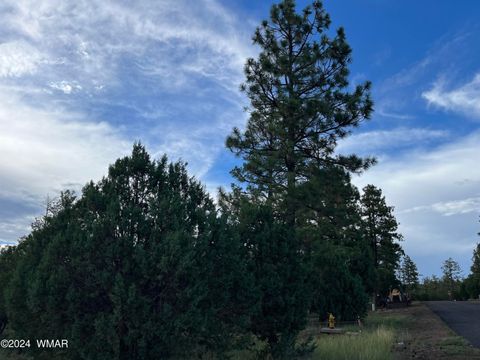 Tiny photo for 5402 Red Squirrel Lane, Lakeside, AZ 85929 (MLS # 252135)