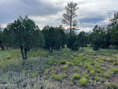 Photo of 5402 Red Squirrel Lane, Lakeside, AZ 85929 (MLS # 252135)