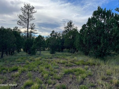 Tiny photo for 5402 Red Squirrel Lane, Lakeside, AZ 85929 (MLS # 252135)