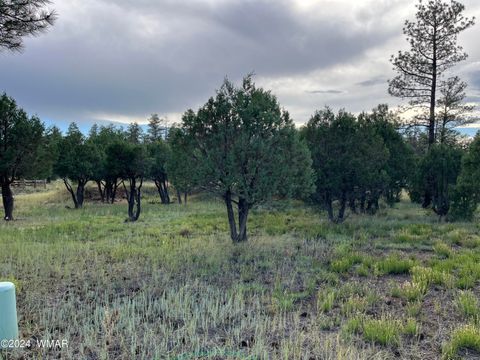 Tiny photo for 5402 Red Squirrel Lane, Lakeside, AZ 85929 (MLS # 252135)