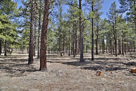 Tiny photo for 9579 Sierra Springs Drive, Pinetop, AZ 85935 (MLS # 257783)
