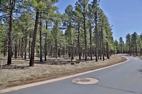 Tiny photo for 9579 Sierra Springs Drive, Pinetop, AZ 85935 (MLS # 257783)