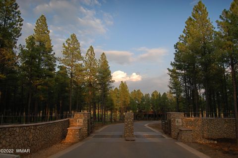 Tiny photo for 9579 Sierra Springs Drive, Pinetop, AZ 85935 (MLS # 257783)