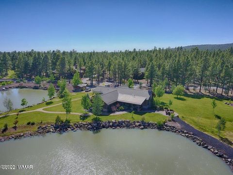 Tiny photo for 9579 Sierra Springs Drive, Pinetop, AZ 85935 (MLS # 257783)