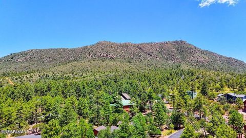 Tiny photo for 0 Drumecho Cir Lot 12, Pine, AZ 85544 (MLS # 258574)