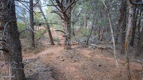 Tiny photo for 0 Drumecho Cir Lot 12, Pine, AZ 85544 (MLS # 258574)