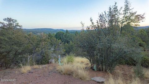 Tiny photo for 0 Drumecho Cir Lot 12, Pine, AZ 85544 (MLS # 258574)