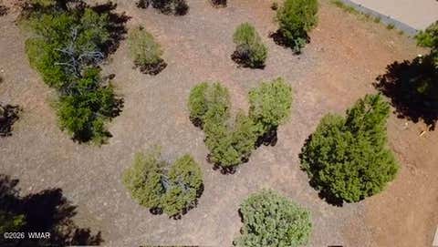 Tiny photo for 1180 S Lakeside Trail, Show Low, AZ 85901 (MLS # 262038)