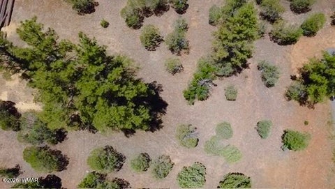 Tiny photo for 1180 S Lakeside Trail, Show Low, AZ 85901 (MLS # 262038)