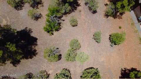Tiny photo for 1180 S Lakeside Trail, Show Low, AZ 85901 (MLS # 262038)