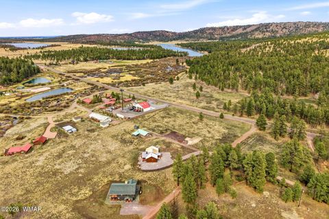 Tiny photo for 17 N1014, Greer, AZ 85927 (MLS # 260490)