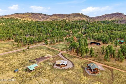 Tiny photo for 17 N1014, Greer, AZ 85927 (MLS # 260490)