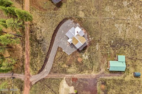 Tiny photo for 17 N1014, Greer, AZ 85927 (MLS # 260490)