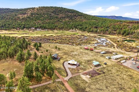 Tiny photo for 17 N1014, Greer, AZ 85927 (MLS # 260490)